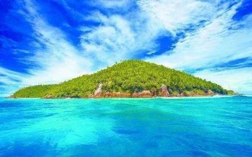 沈国权 沈雯《重生后我成了传奇》第1章
